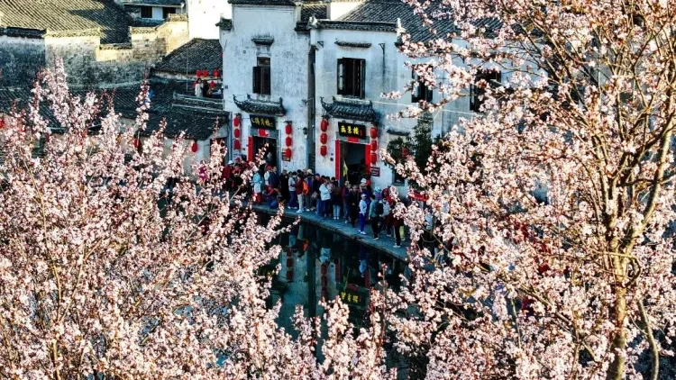 ded1f203df3c2a3bad8f4ddca22db6da-sz_331041