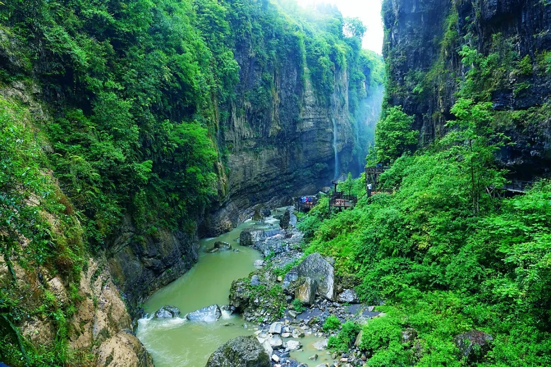 dee66847e590308ef84ce328761f79e0-sz_992850