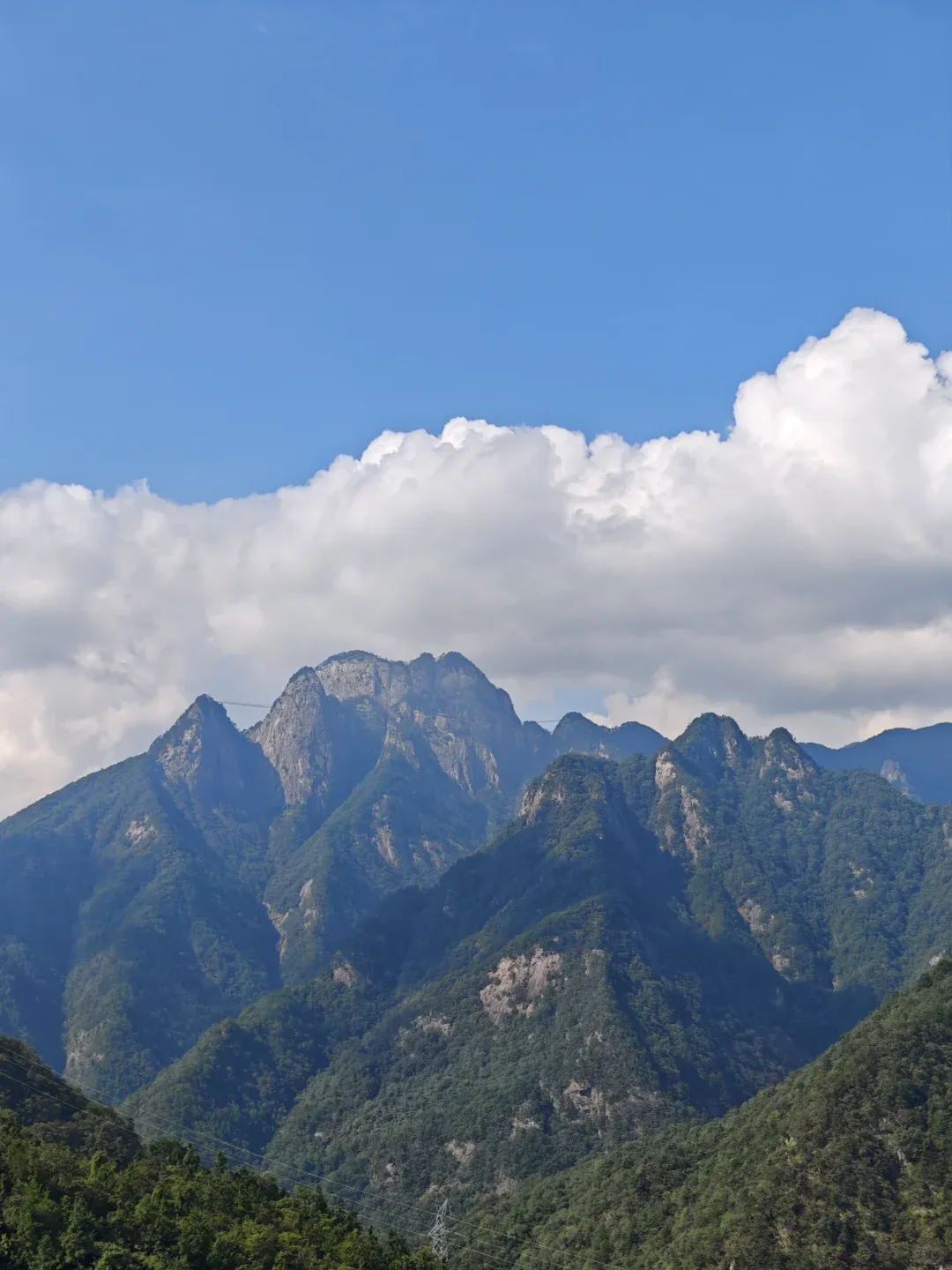 df12269677ea93ea64c096a9cd138f79-sz_1428234