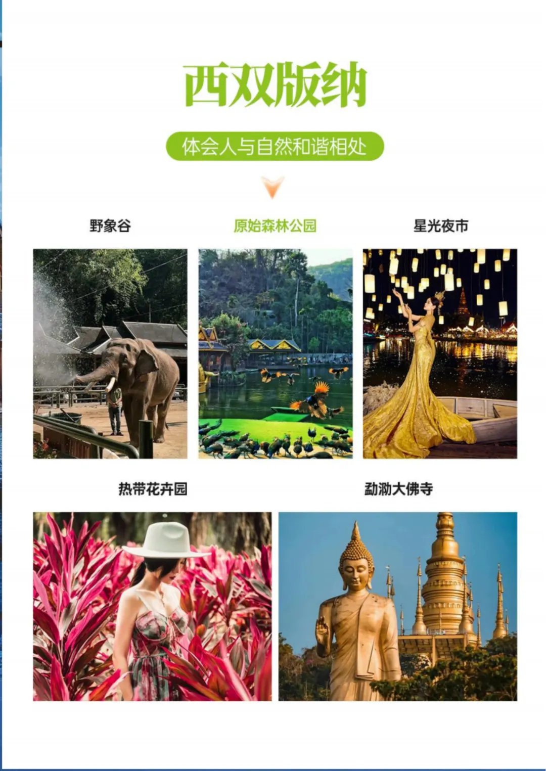 df36e66ee0d62bf28cd99e71027c59ea-sz_3132882-1 df36e66ee0d62bf28cd99e71027c59ea-sz_3132882-1