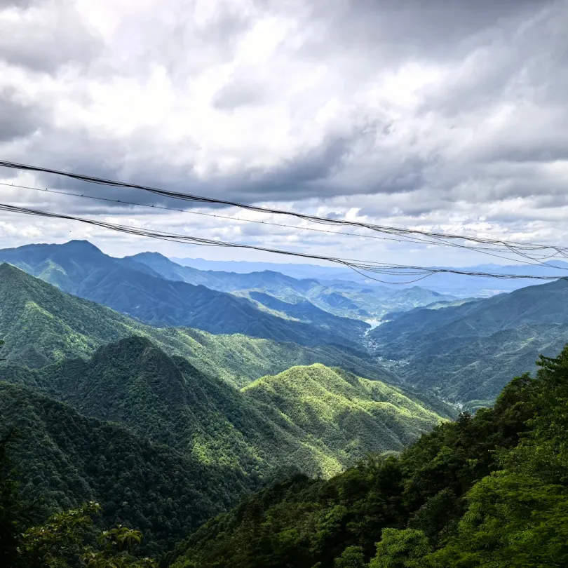 df4d4fba6fe72c3250938a8b9765846f-sz_2219751