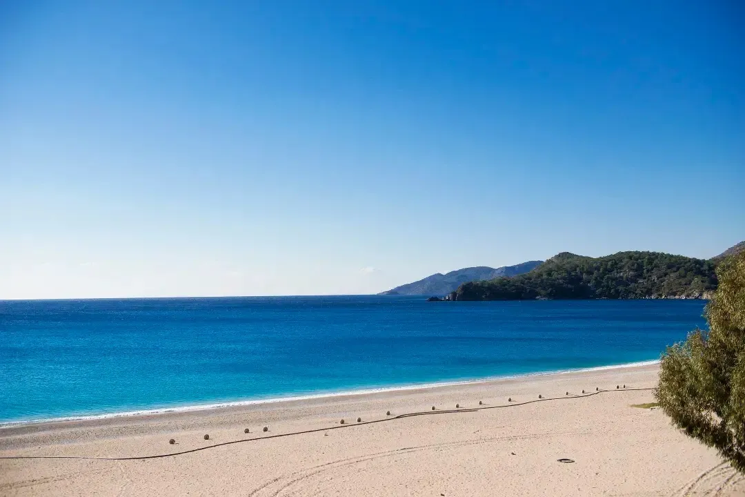 df56ee0548954053d482f70c74d01d34-sz_190173-1