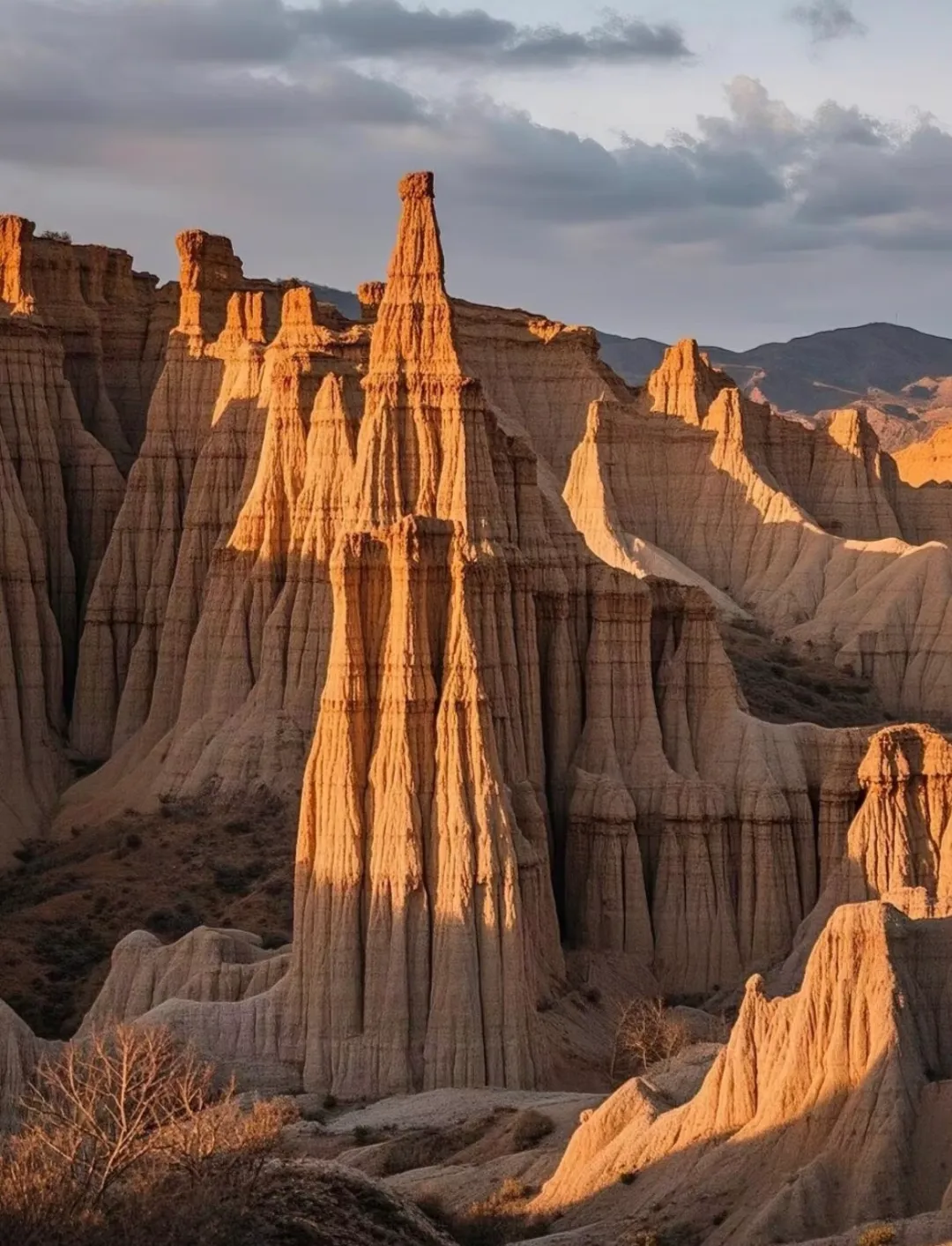 dfaed44e642f2fea65be1ae3fd4ff005-sz_3725776