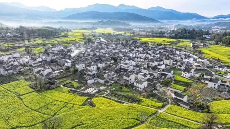 dfb83b8c318edc04644ee854c38bd4e3-sz_189556