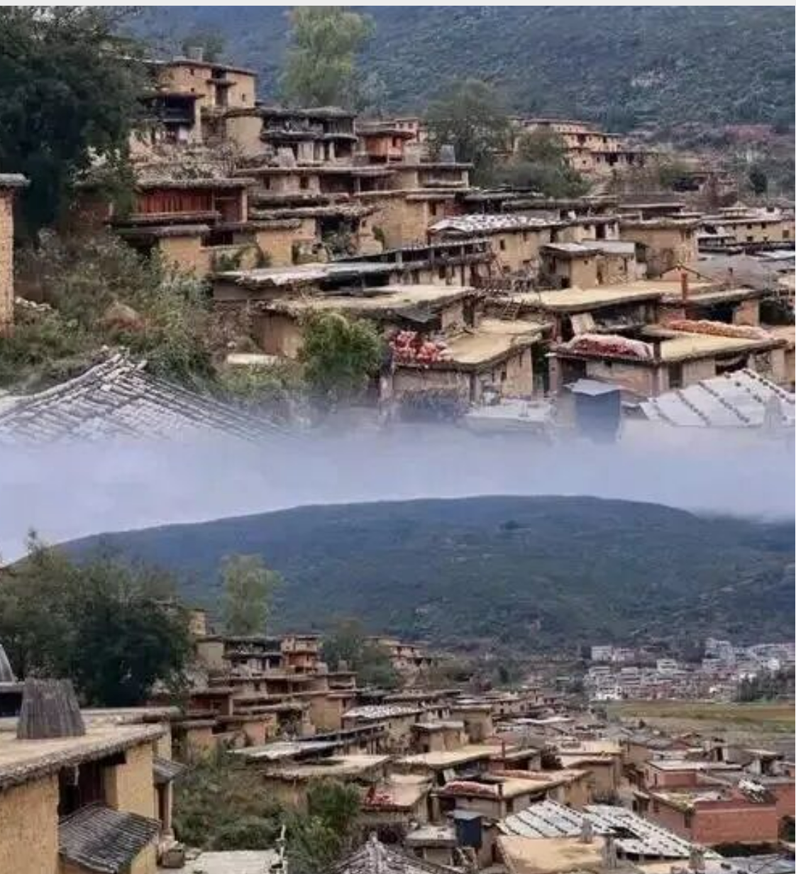 dfc4be29ab58ea9052a30b67ba8e98cf