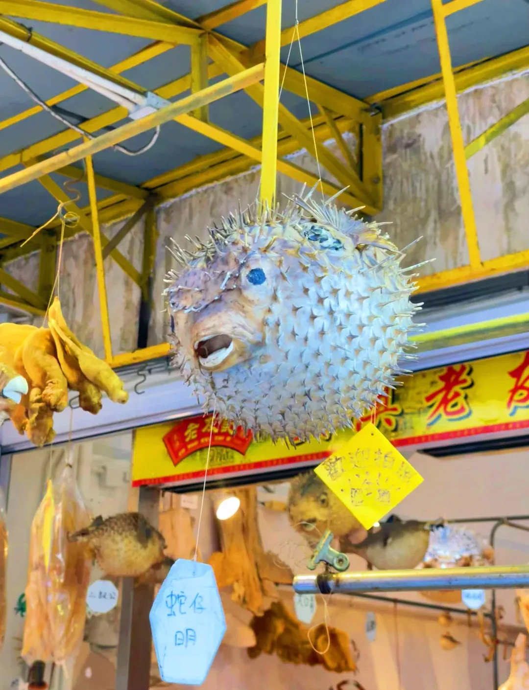 dff3358c5d2c0ebcc4234d5af368db00-sz_2043195