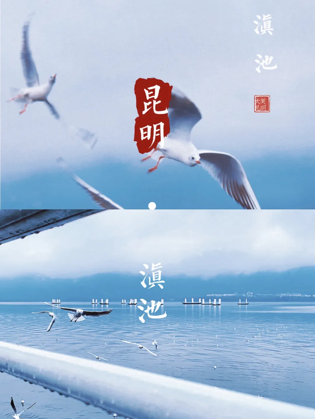 dffabeb70943acaf5d343e6ef1656020-sz_1429293