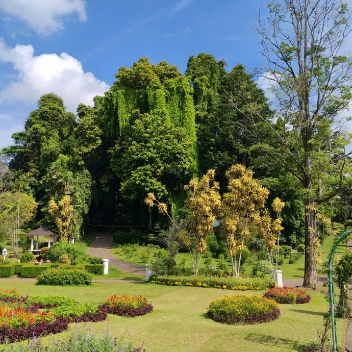 e01d6ba178dbaabcaa49684d3eb3727b-sz_353673-1