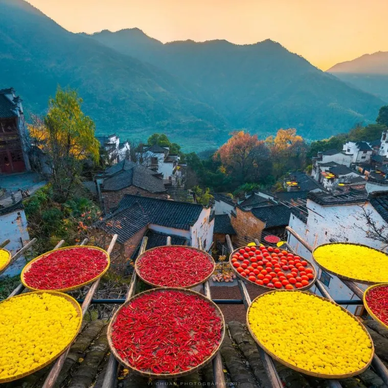 e050812d37586683825fd84eeee59e4f-sz_312132