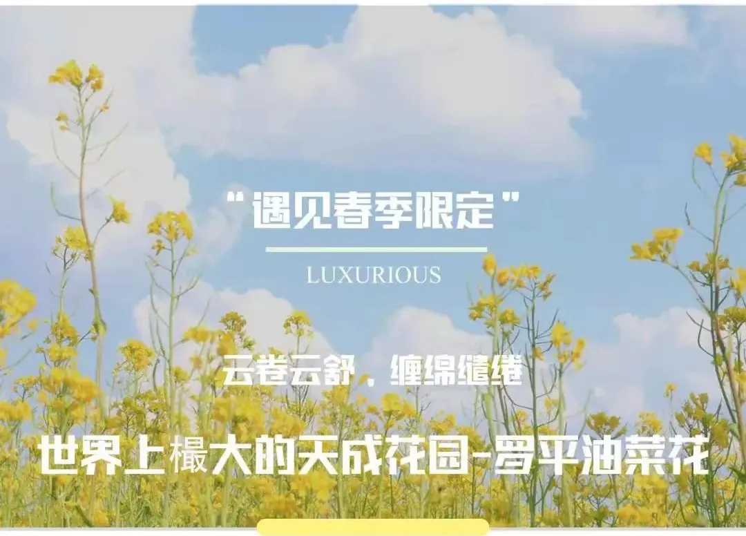 e05a58f34309c8a26052fefd8403b38c-sz_164300-1