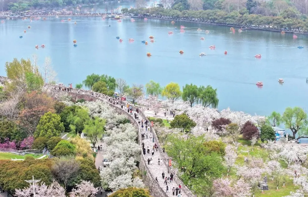 e06372efe5ec32bcdfd081f2cc629a36-sz_1285825