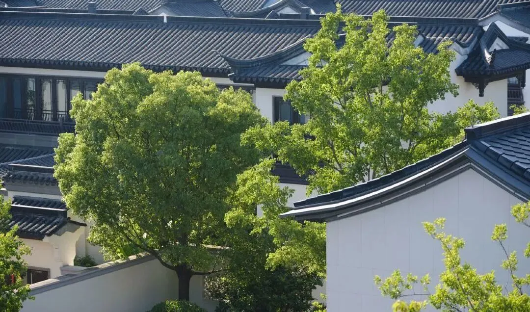 e0b893d2c32ff7aa1a46ffc2b791f721-sz_184599