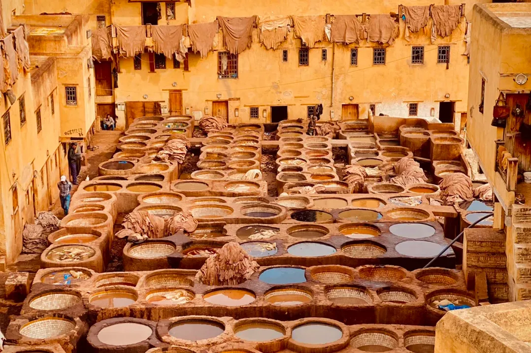 e0bbec373ba26adedf4165a06d9e58d3-sz_3734215