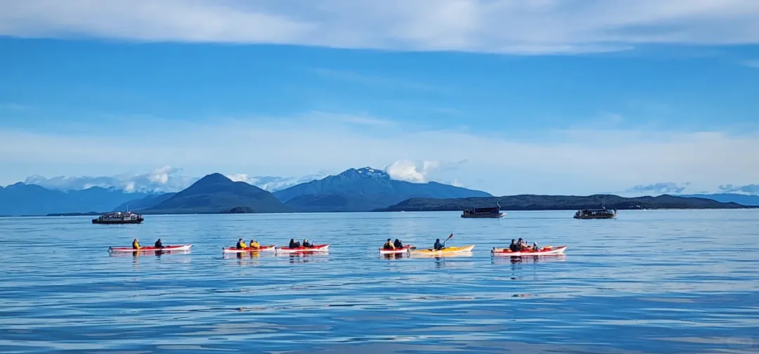 e1430cdf012858ae40753ddf41747ca5-sz_357463-1