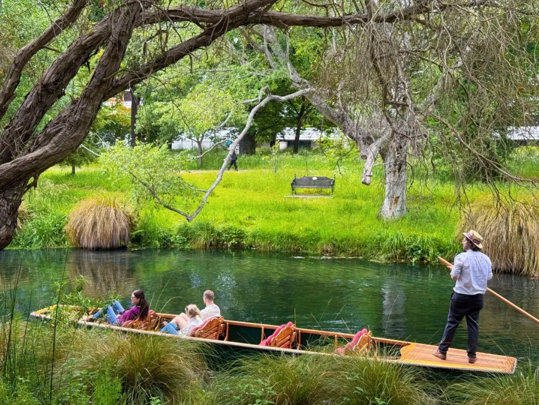 e154a8e9c02e32a02315797c62aa5c07-sz_805002