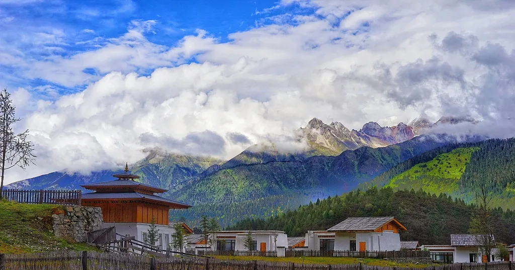 e155ba9f96197b6b42b51da439da5d5f-sz_358620