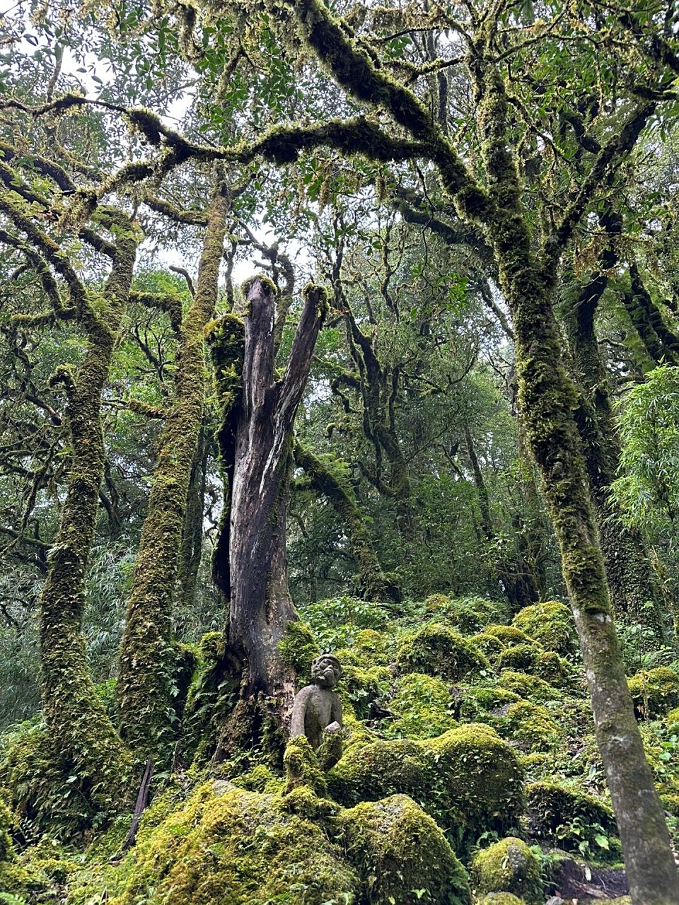 e157f26f90eea627902fd9b1c1fac5cc.jpg@h_1280