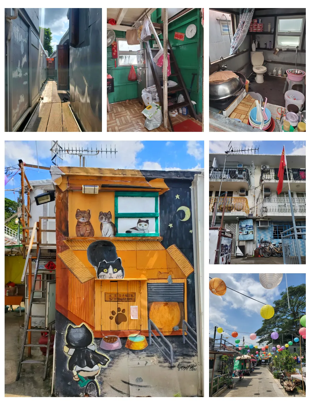 e1591a8372cc14055c114a35e9ee6016-sz_2430450