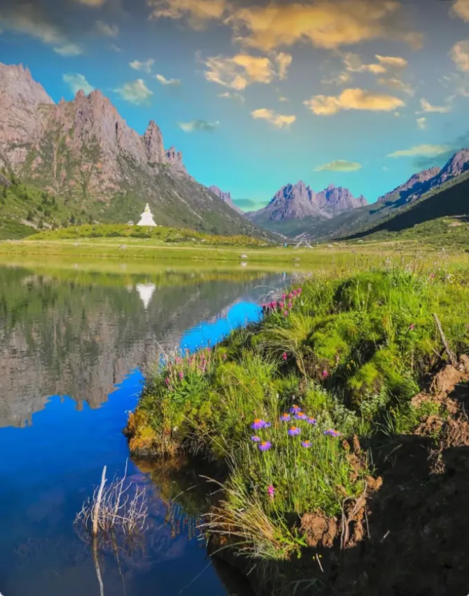 e1a65404bb008413b9ae750867ea30bb-sz_857883