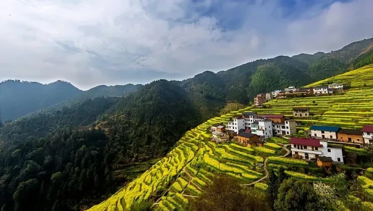 e1b1f5fe4fed562e78575b2c48a58444-sz_139243