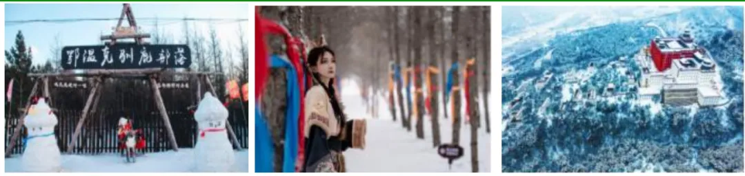 e1ff761789a01905f18896826ba15398-sz_1040184