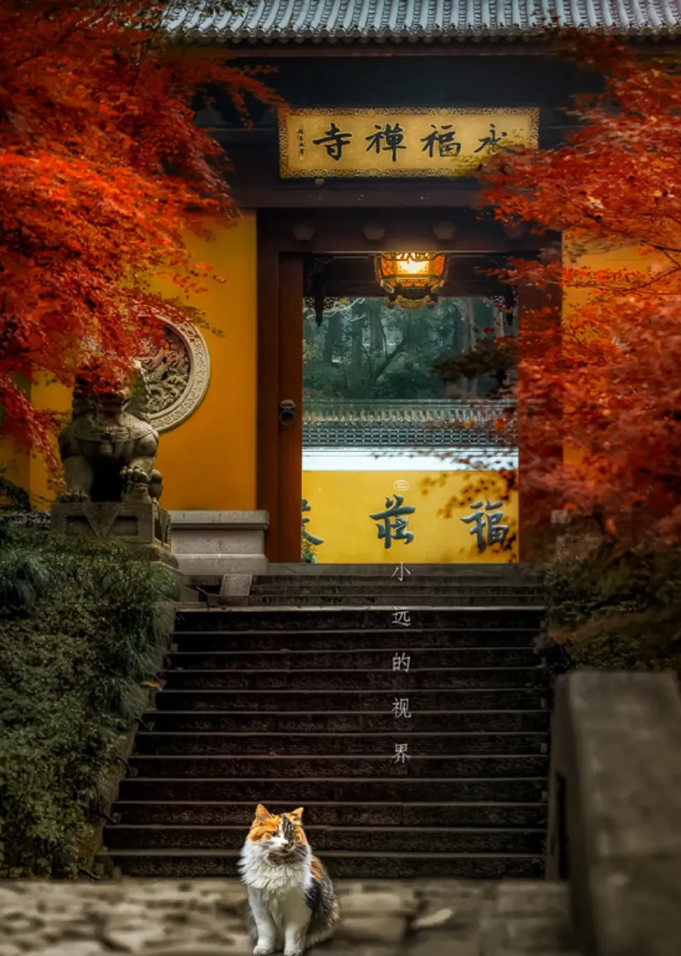 e250e5324d0b75a06a1503221057bc7e-sz_1316032