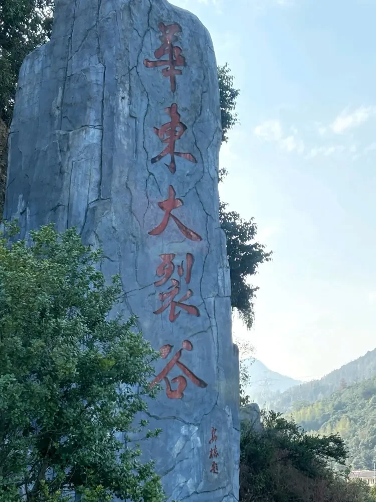 e257ca708777145e0bdba7478c9efc83-sz_631380