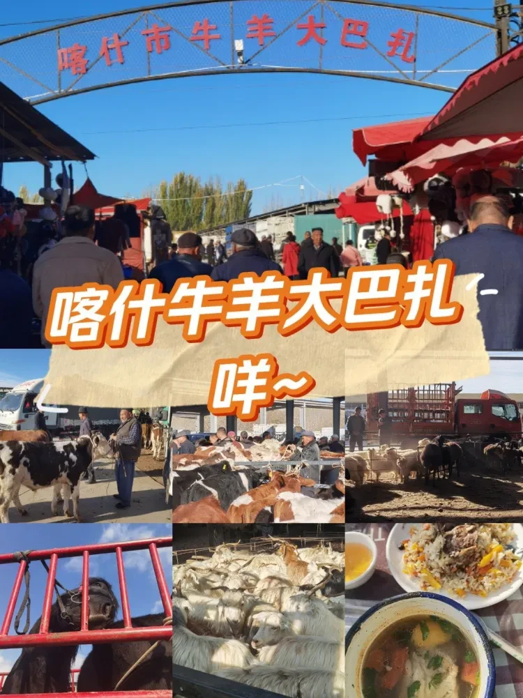 e259015208da2d2a3c85fedf2ae997b9-sz_319419