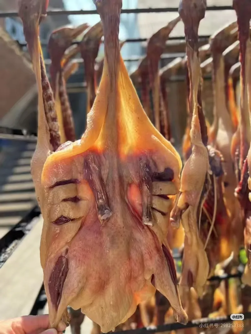 e26b6b30709abe7dec08194499e7a388-sz_464241