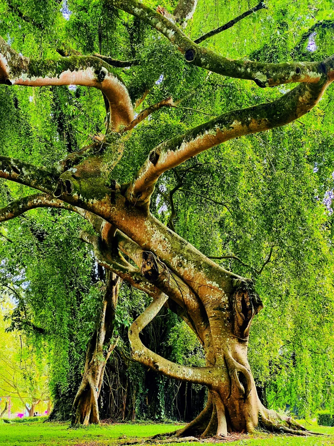 e2705b81682925468dbc27ec34db0b80-sz_4119211