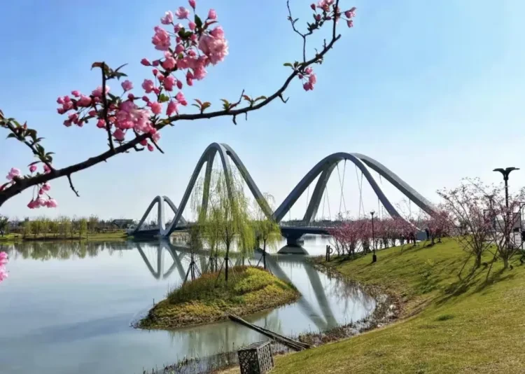 e28b3a4477907d8a79cf1860922a6134-sz_991036