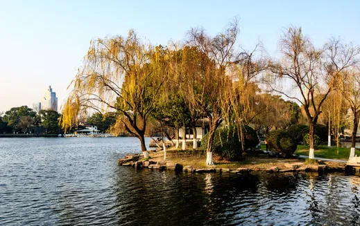 e28df10a73003e1f5df44ccbb5c80660-sz_373622-1