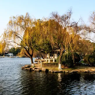 e28df10a73003e1f5df44ccbb5c80660-sz_373622