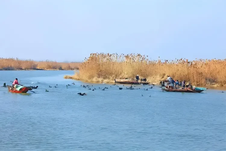 e29f5e36ac6ebff5105f01a4834f1b2e-sz_1279539-1