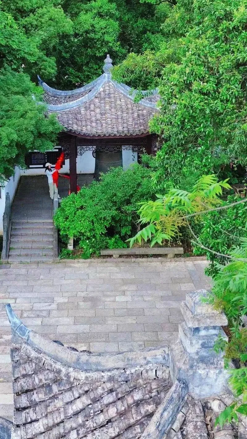 e30bc183a75636cd869c7fc22c9930b9-sz_3122111-1