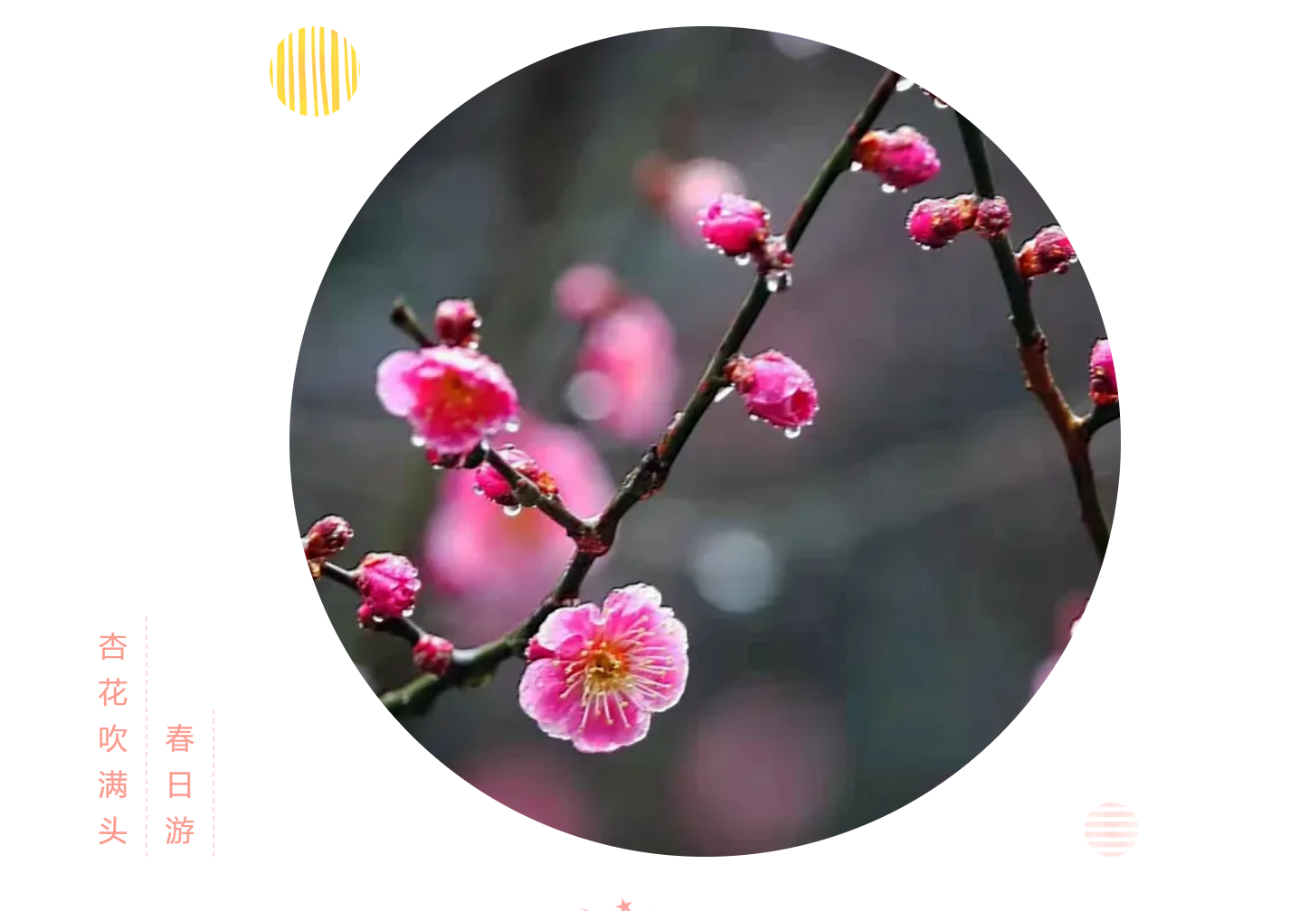 e3c41249377050c81b9ac1d47491cf7d