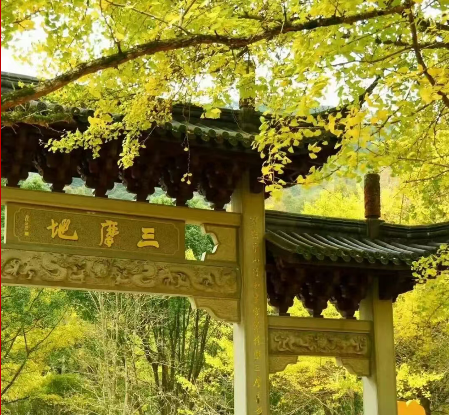 e3f0ff234ab251a35d4220156fbaa86a