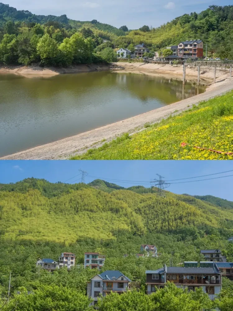 e456707bc6e35c2ae4426c3d5fadd740-sz_768353