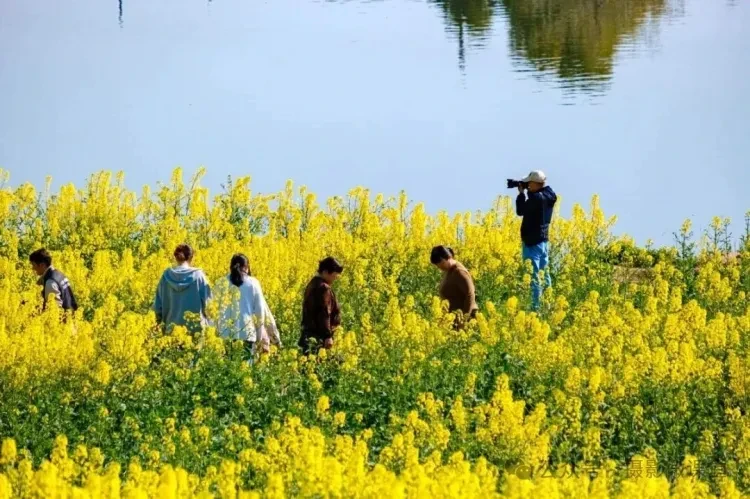 e4b6b241f2cee3768129bdf3e13bdfe3-sz_1573713