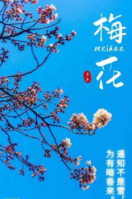 e4cf54f18cfe0952cefd9d1d8d8237b2-sz_275052