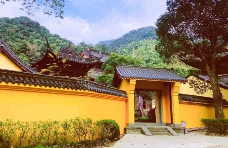 e5094d8728773d116578fc5441d59d21-sz_1883883