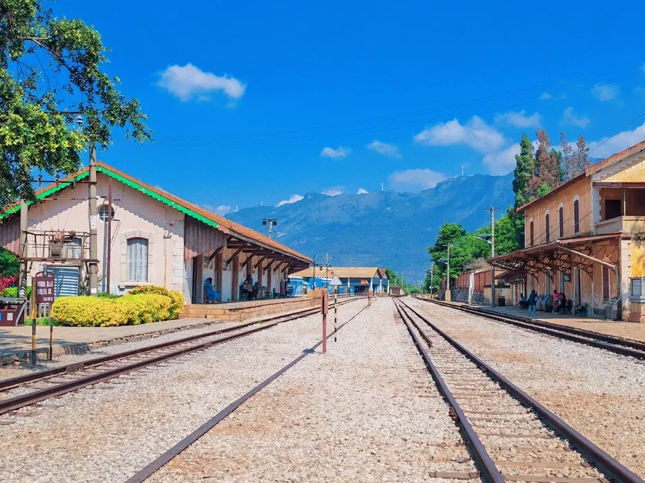 e51ce31931bada7cd8bd16709c3f2f0e-sz_3322116-3