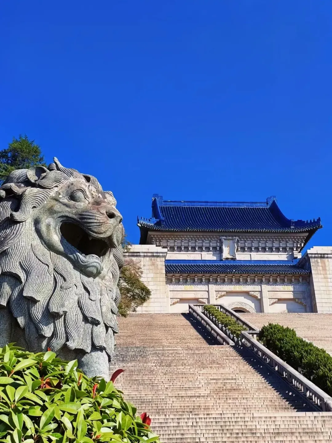 e535b65343a4a78d7100c5bff16e420c-sz_2413001