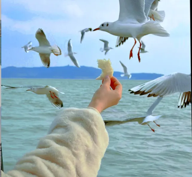 e53bcadfb8eb350e84569141da3ee773-sz_565450