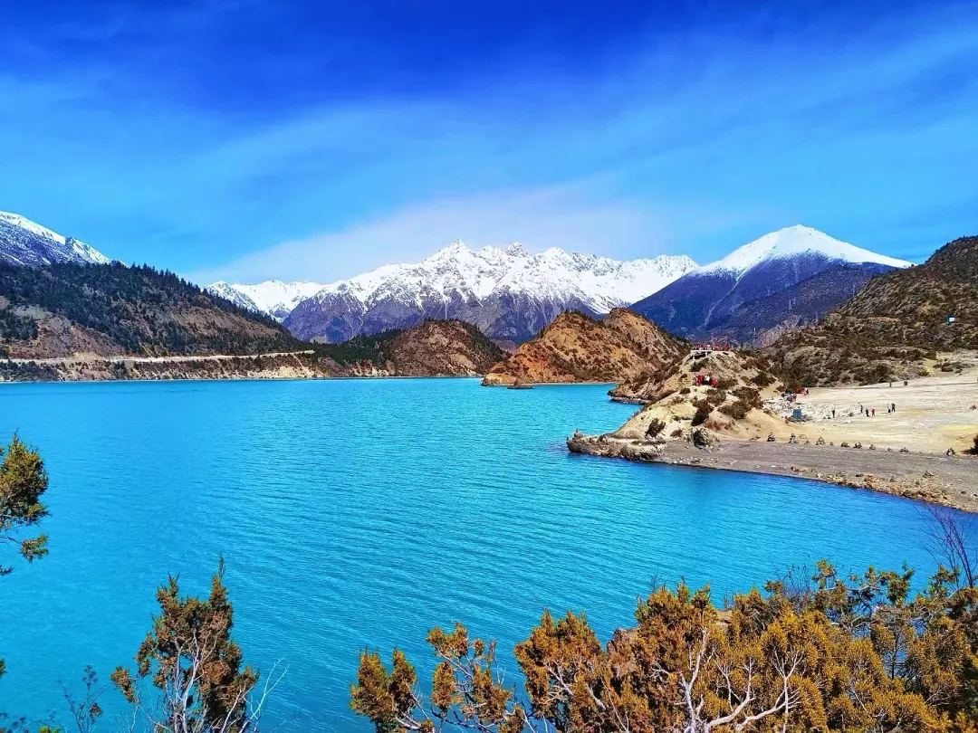 e586bc855d95bc618eea0d091b2e4134-sz_2185810