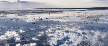 e5a71dd6b39e4744305ac6e54e6d3483-sz_1396351