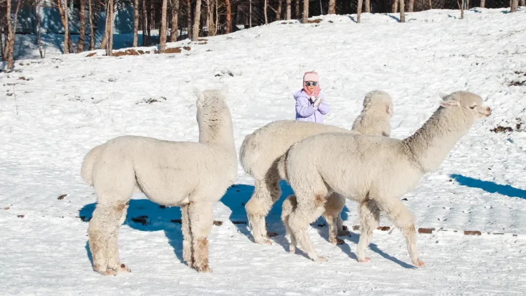 e5b78ddf6dcc1145c4813af5a9e6f34d-sz_254648