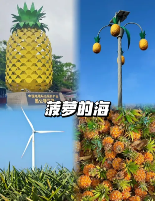 e5b92464a53f19d522cffdfe7459f3e2-sz_735970