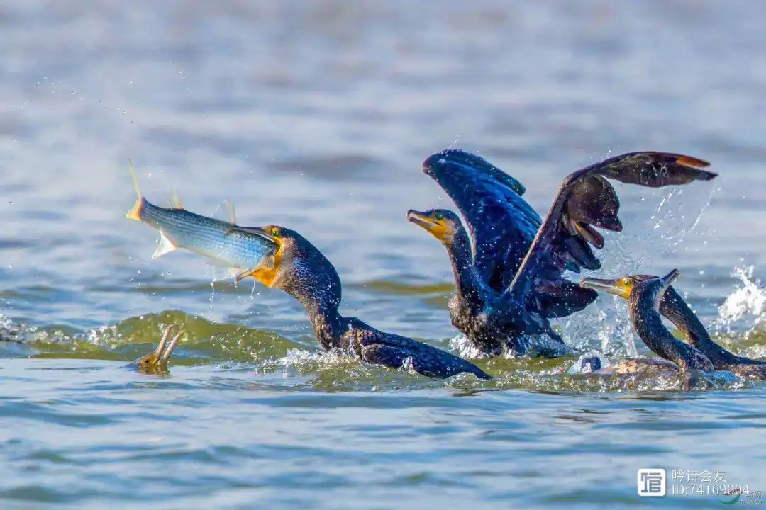 e6114ca721368417e808d46fb12ffa86-sz_218422