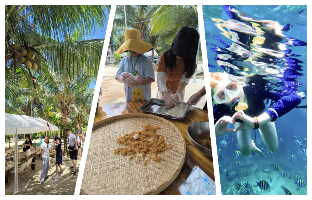 e6296b9279d0aec047d621d457eb9dcd-sz_1823809